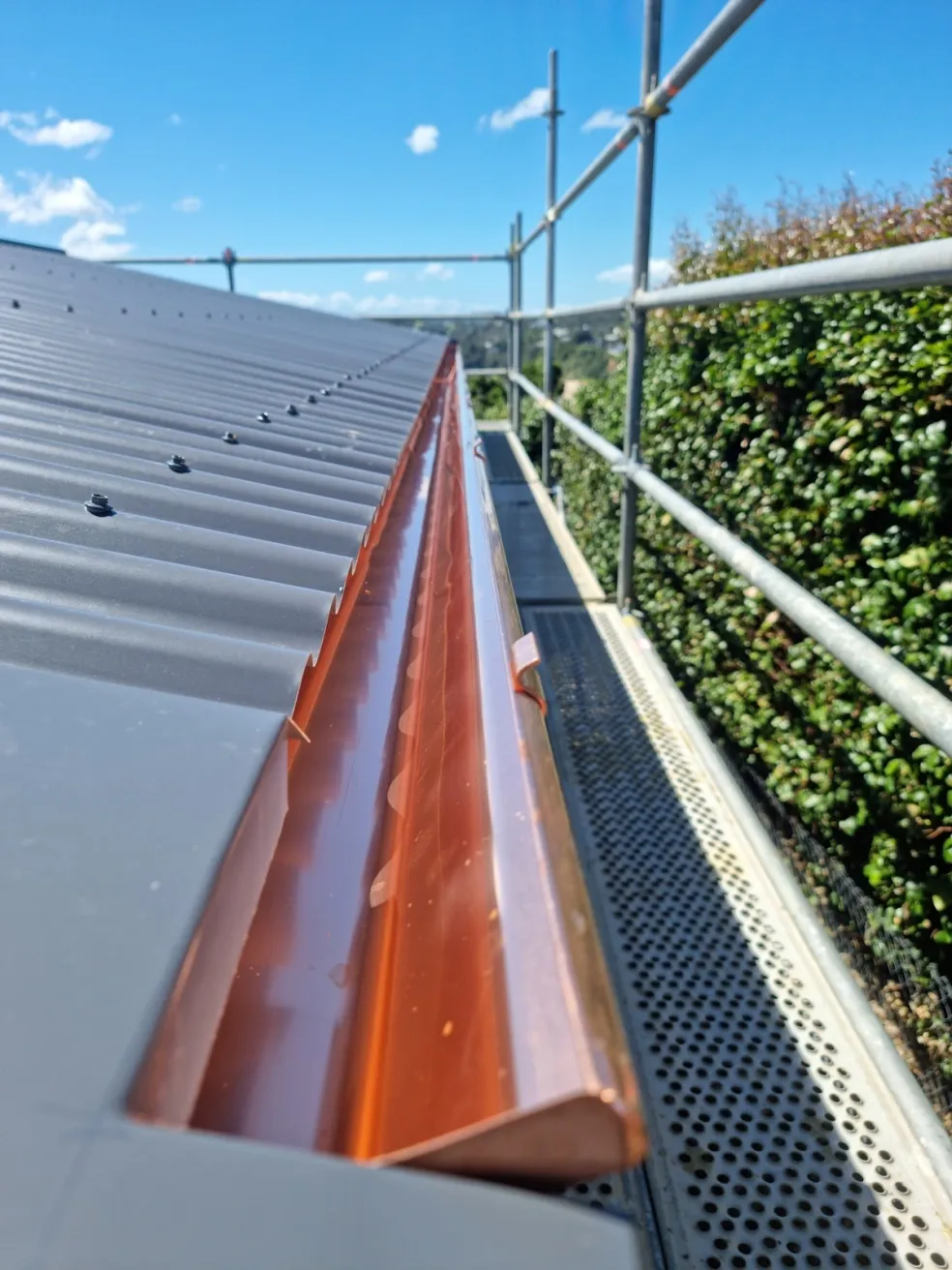 copper spouting and downpipe against a green hedge